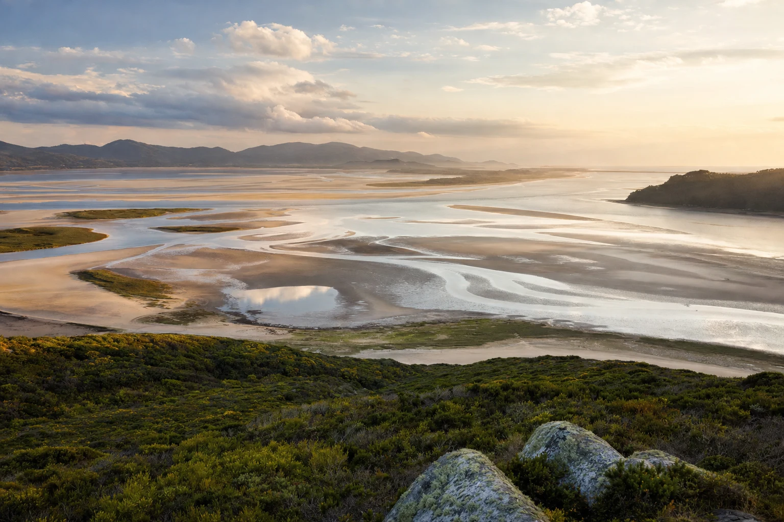 A broad coastal estuary at low tide with branching water channels, pale sandbars, and smooth reflective shallows under soft late-afternoon light from a high overlook