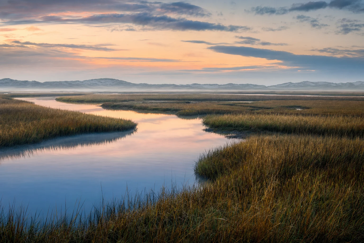 A wide salt marsh at first light with reflective channels, pale reeds, and distant dune ridges beneath a soft pastel sky, shown in a clean panoramic landscape.